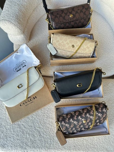 شنته coach